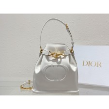 디올 Cest Dior 미디엄 백 라떼