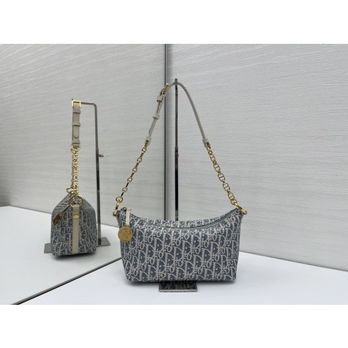 디올 Diorstar 체인 호보백