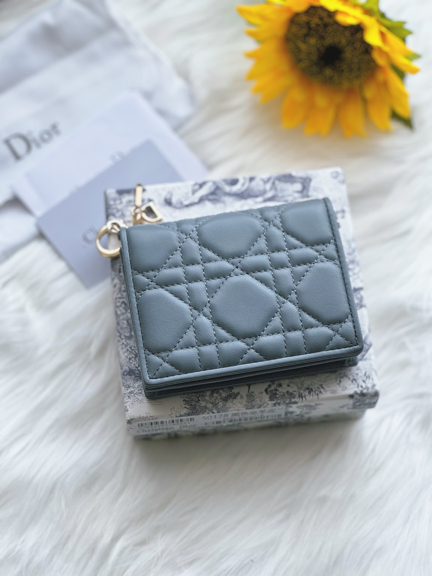 디올 Lady Dior Gardenia 미니 지갑