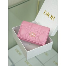 디올 Caro Glycine 지갑