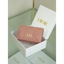 디올 Caro Glycine 지갑