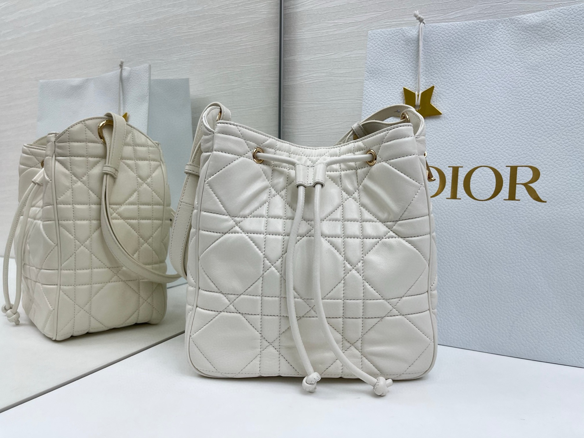 디올 D-Motion 미디엄 백