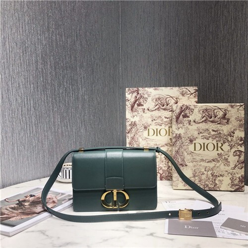 디올 써티 몽테인백 D89151-4